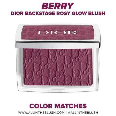 dior rosewood blush dupe|dior berry blush dupe.